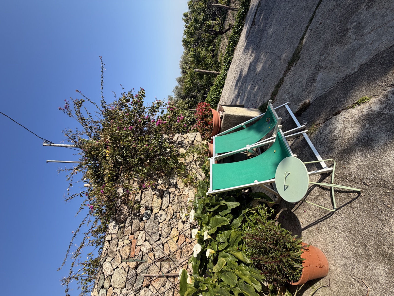Camera Il Mare — terrazzino privato con sdraio tra i fiori