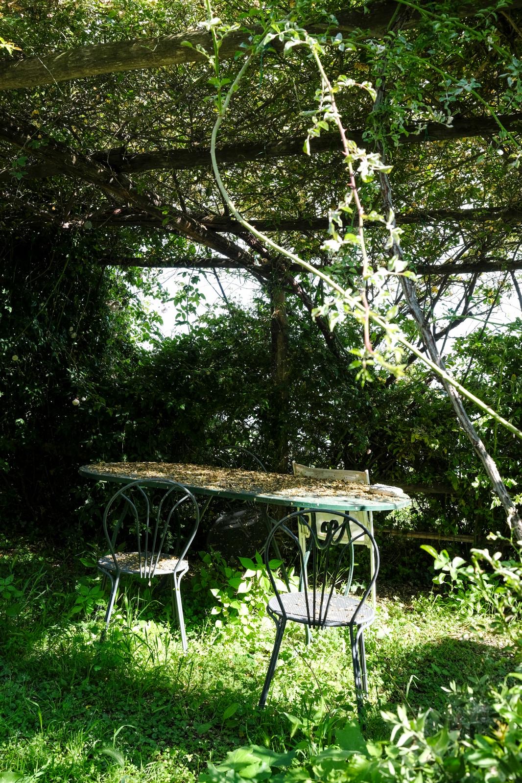 Angolo del giardino con tavolino in ferro battuto all'ombra del pergolato