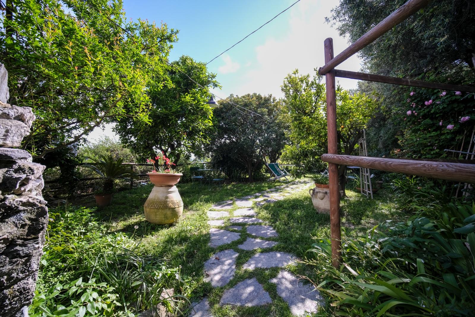Vialetto nel giardino con sdraio e alberi da frutto