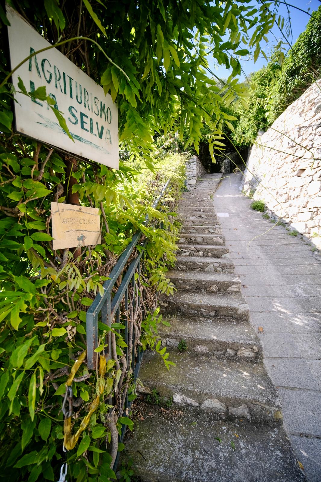 Insegna Agriturismo La Selva con scalinata d'ingresso tra le piante