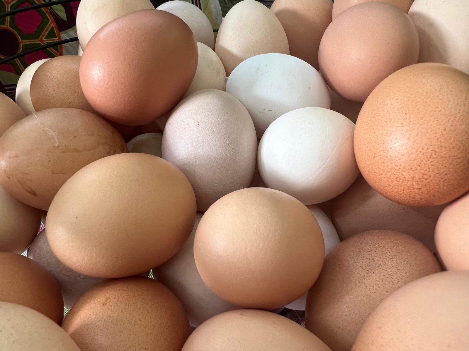 Uova fresche dalle galline della fattoria in colori naturali