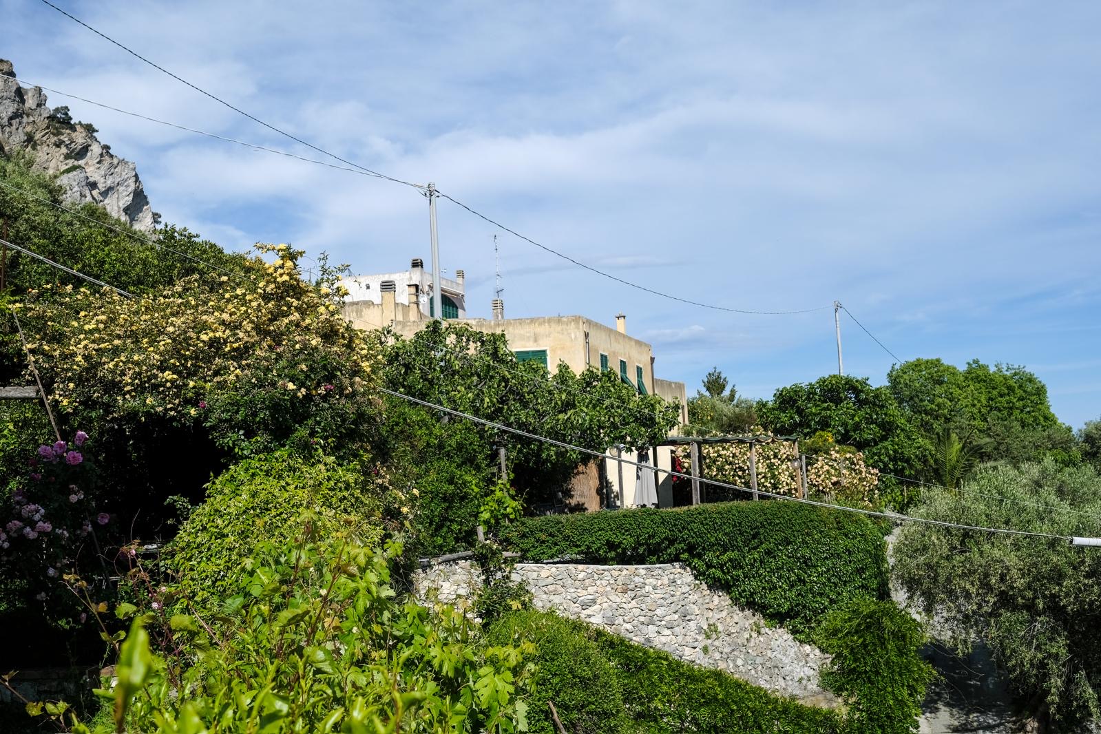 Vista dell'agriturismo La Selva immerso nel verde delle colline liguri