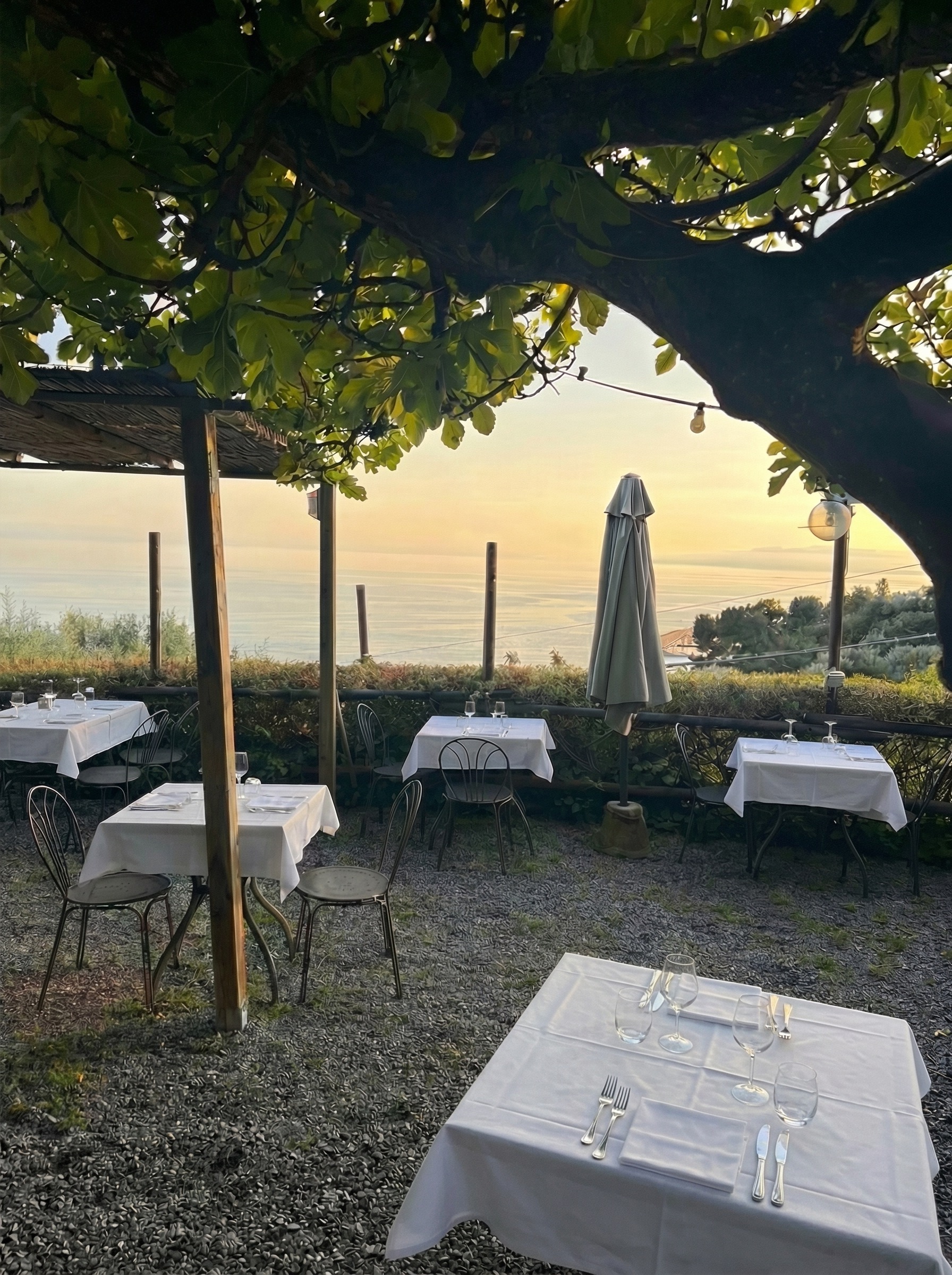 Terrazza del ristorante La Selva al tramonto con tavoli apparecchiati sotto il fico e vista sul mare Ligure